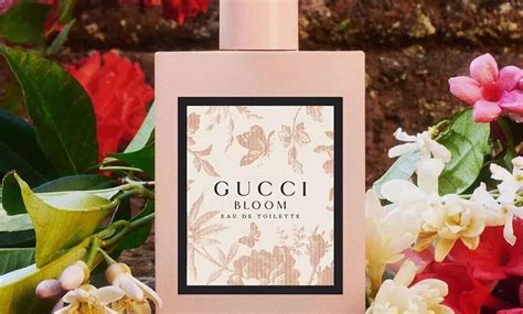 a que huele gucci bloom